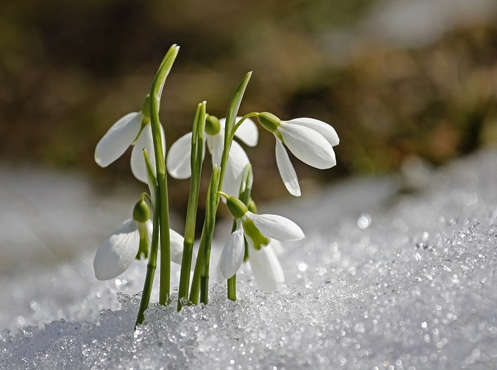 Signs of Spring image